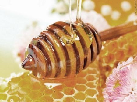 Läcker och hälsosam medicin - honung med perga